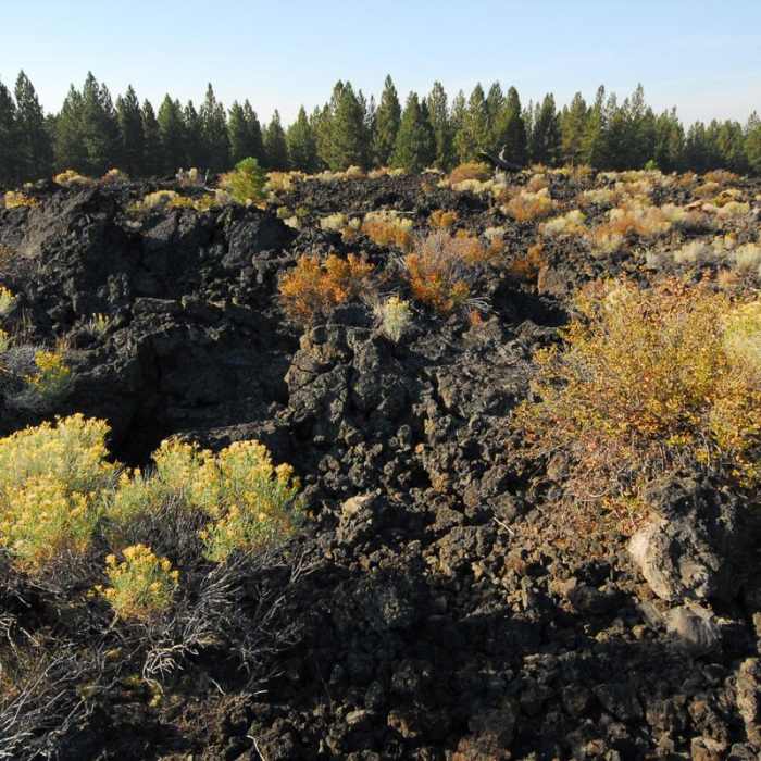 Near Lava Butte, Trail of the Molten Land