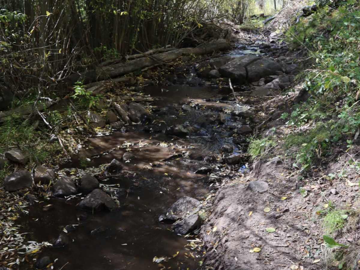 Bennett Creek 2 photo 6