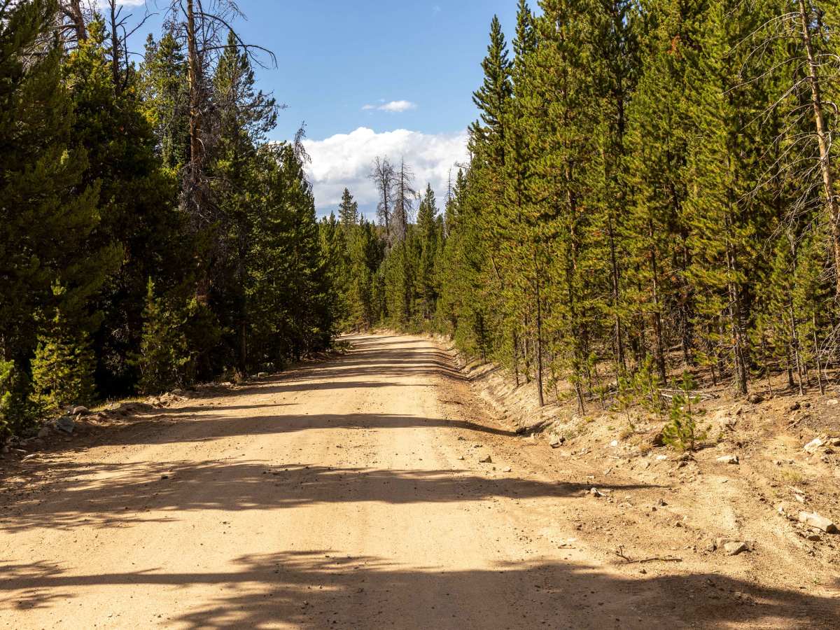 Deadman Road photo 4