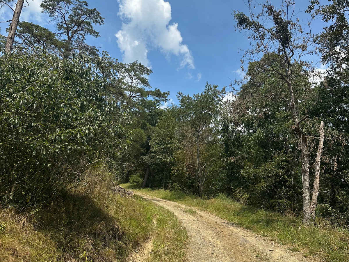 Frankie Carpenter trail photo