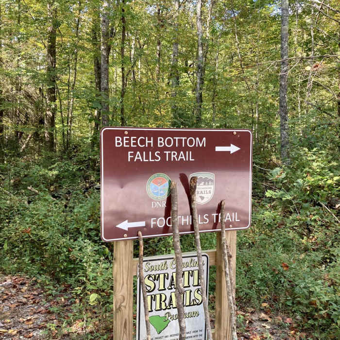 Near Beech Bottom Falls Near Beech Bottom Falls