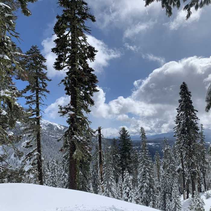 Near Forest Lake Trail