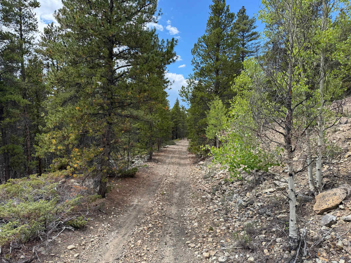 County Route 3 photo 3