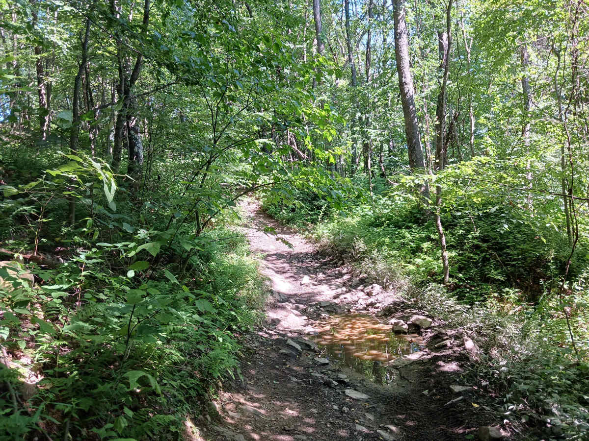 Trail 14B - Rock Run Recreation Area photo 4