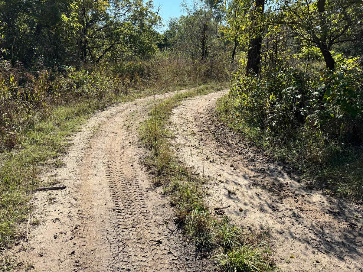 Rattle Trap Run photo 4