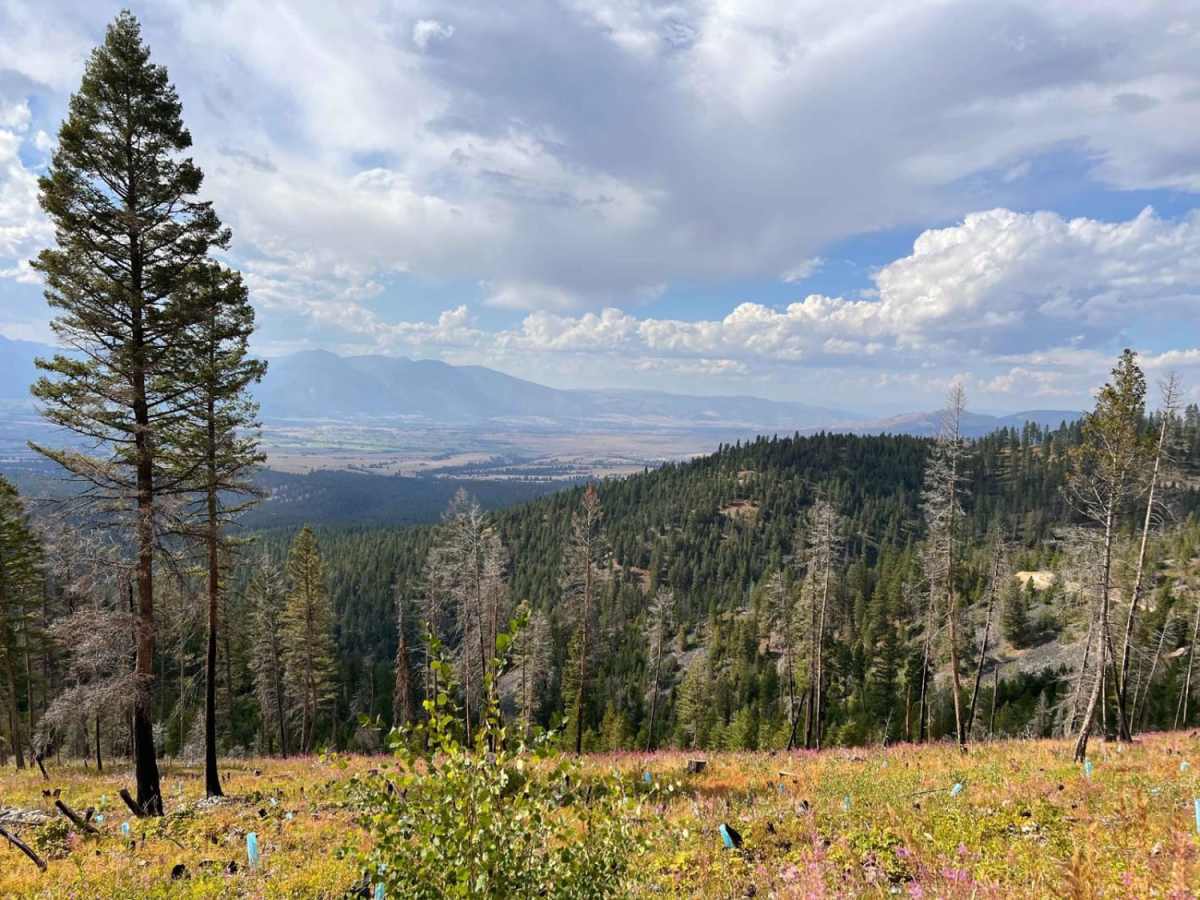 Upper Skyline to Cinnabar Saddle photo 2