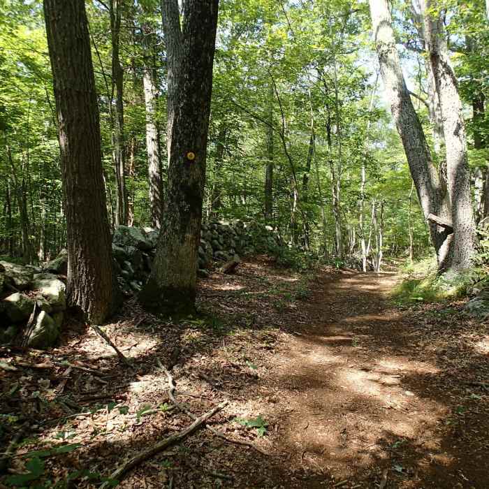 Near Hubbard Loop Trail