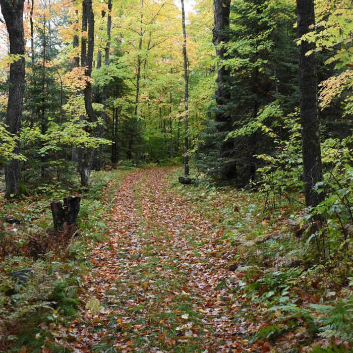 Near River View Trail Near River View Trail