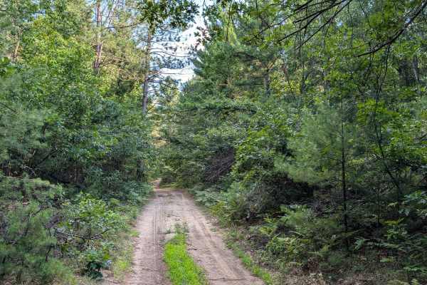 Walker Spur Trail