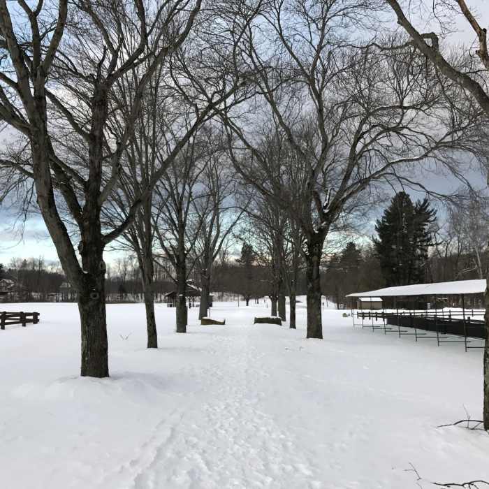 Pathway through polo fields, covered in snow. Near Bridle Trail: South Chagrin to Bedford Reservation