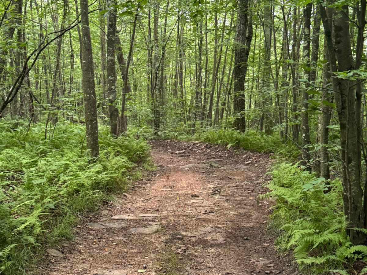 Trail 63 photo 3