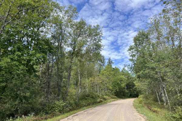 Knowles Creek Road - FS 2349