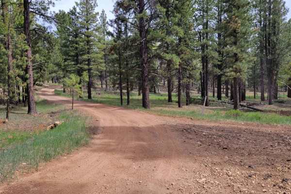 Tommy Loop Access