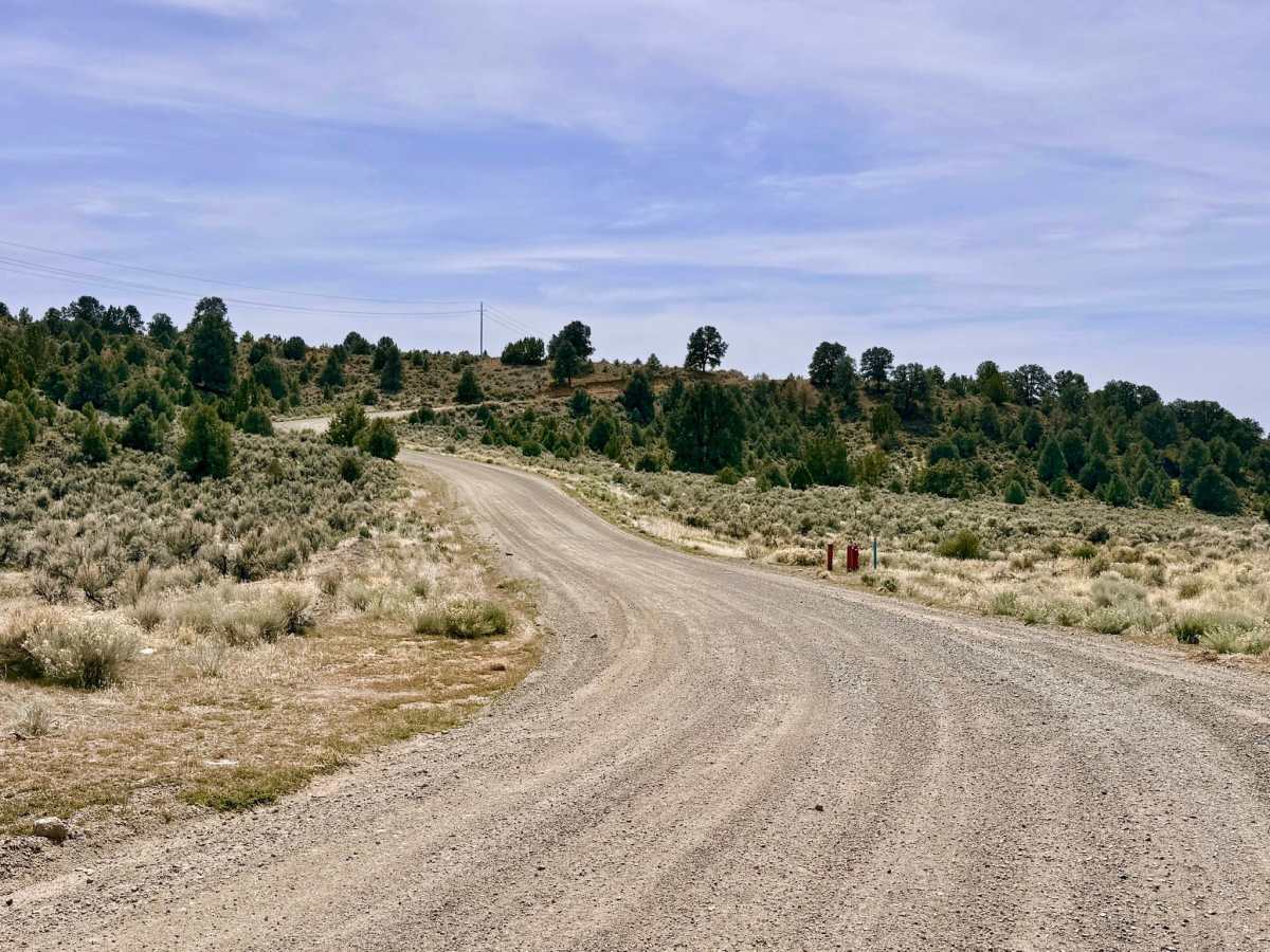 Apex Mine Alternate FS43238 photo 4