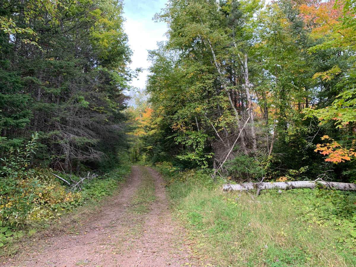 Houghtaling Trail - FS 1855 trail photo