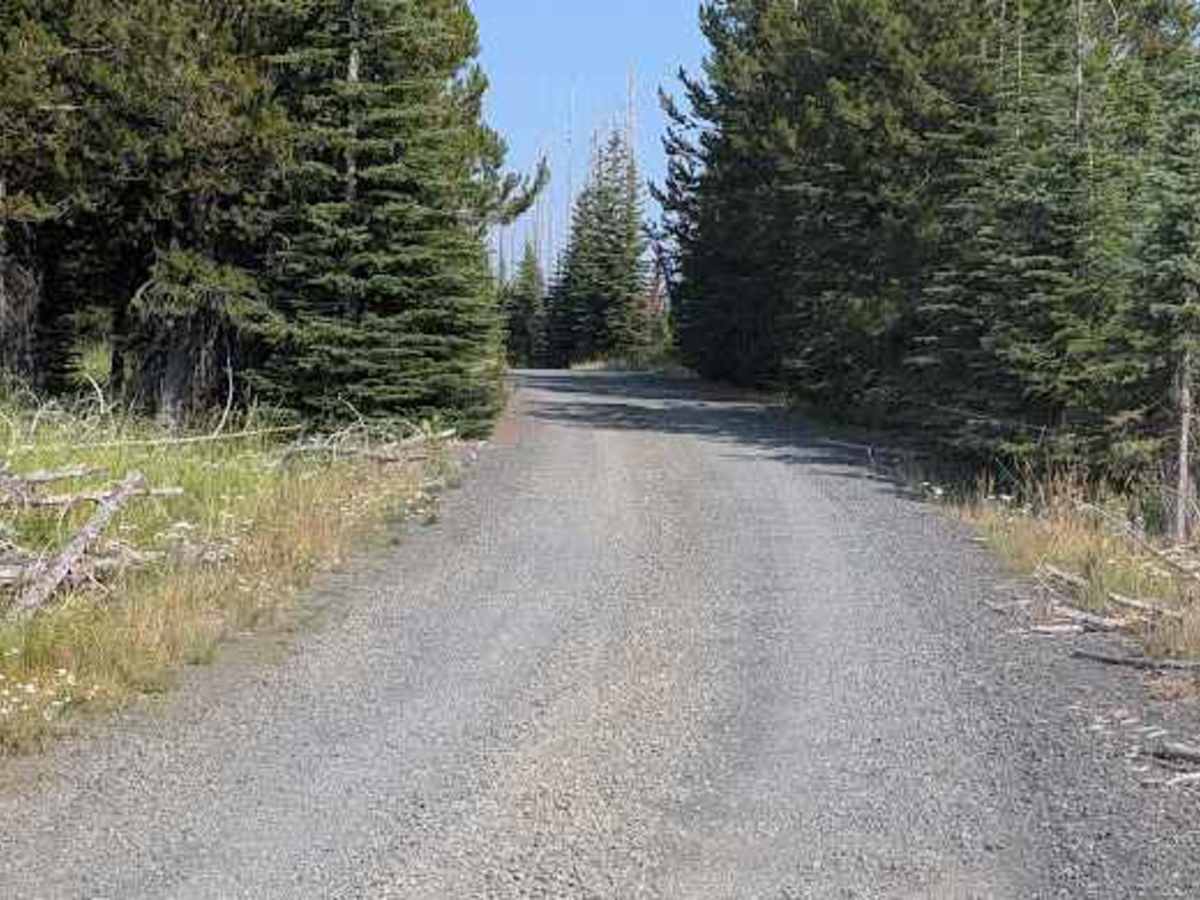 FS 3521 trail photo