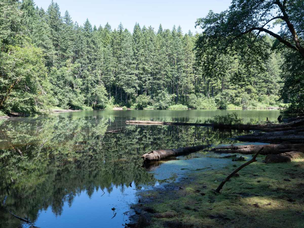 South Lake trail photo