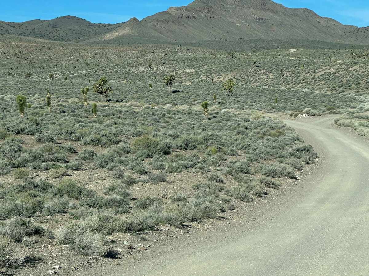 Gemfield Access Trail trail photo