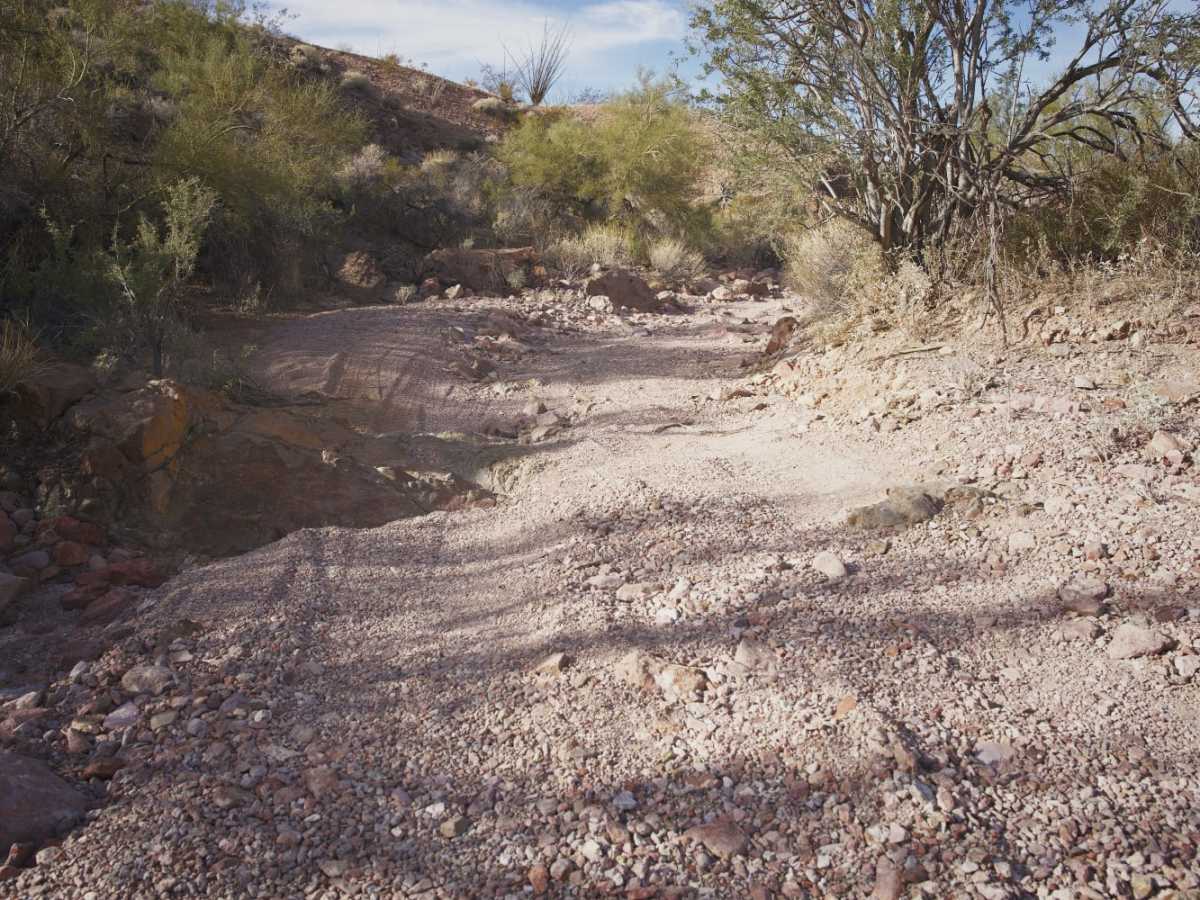 King Road to Pipeline trail photo