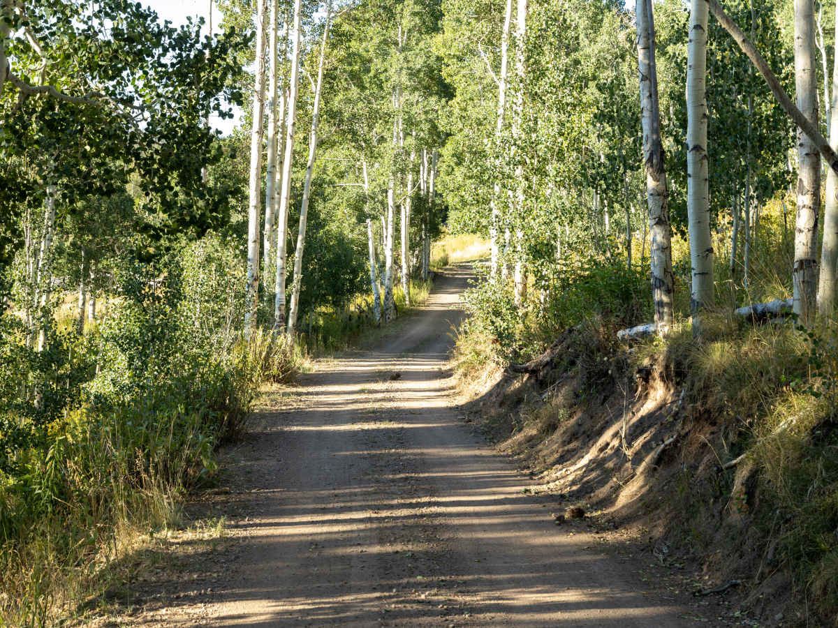 Blacktail Creek photo 5
