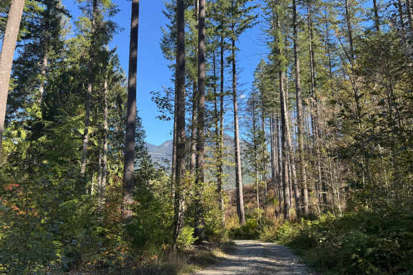 Klinger Road - FS 2602