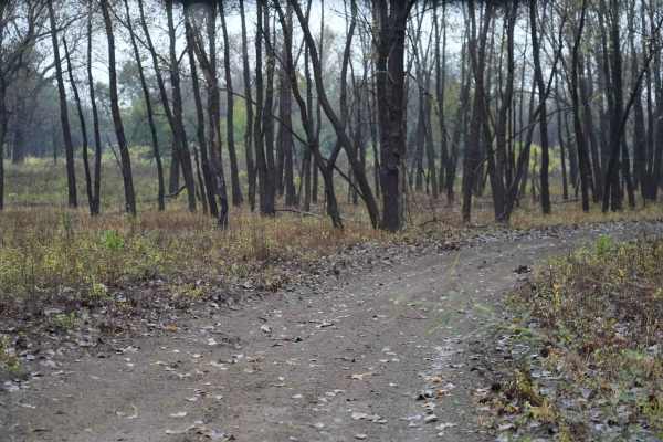 Otter Creek Inner Trail