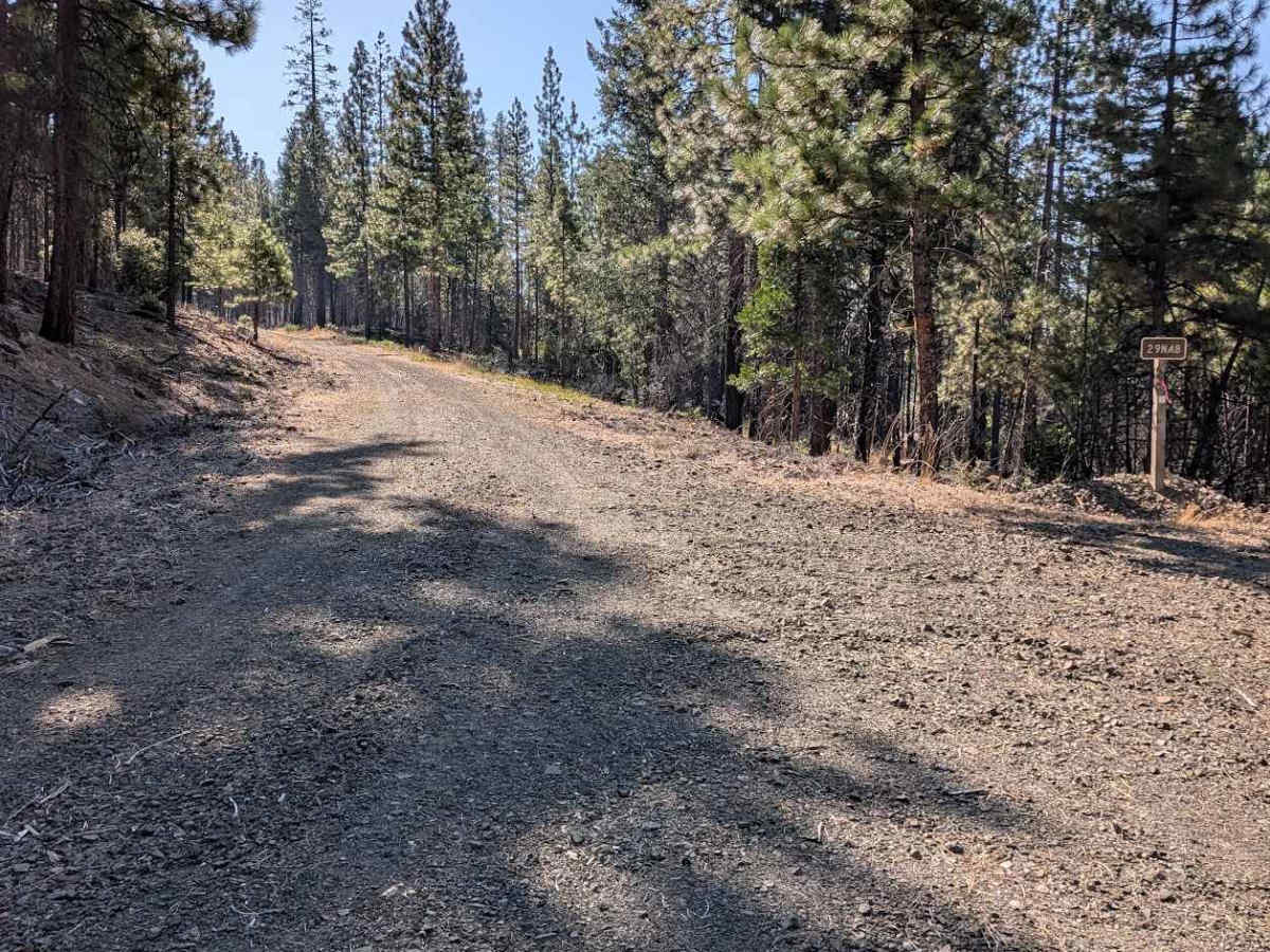 North Fork Smokey Creek Road - FS 29N48 trail photo