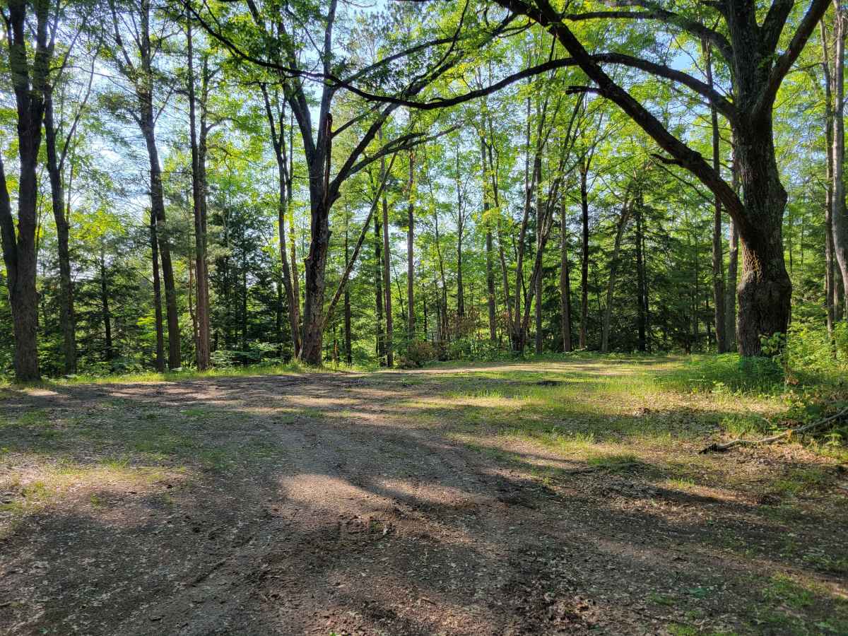 5525 Forest Road photo 3
