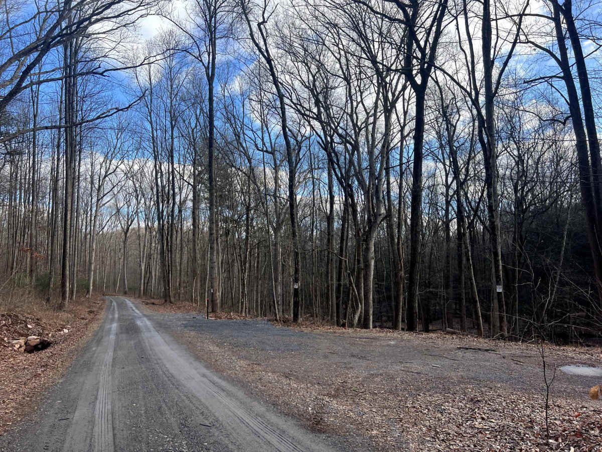 Bear Creek Road photo 5