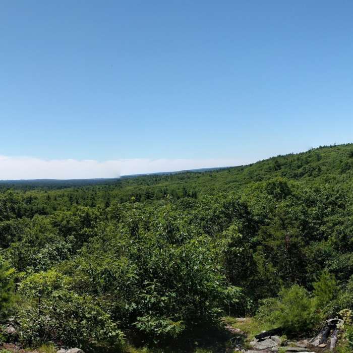 View from Cedar Hill Near Rocky Woods Loop