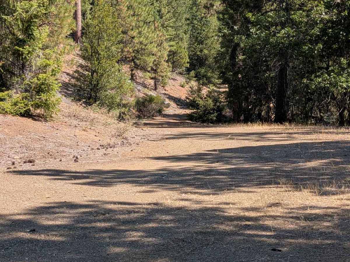 Plumb Road - FS 1N26  photo 6