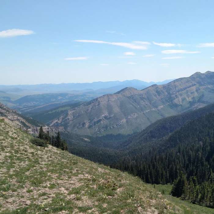 Near Livingston Peak