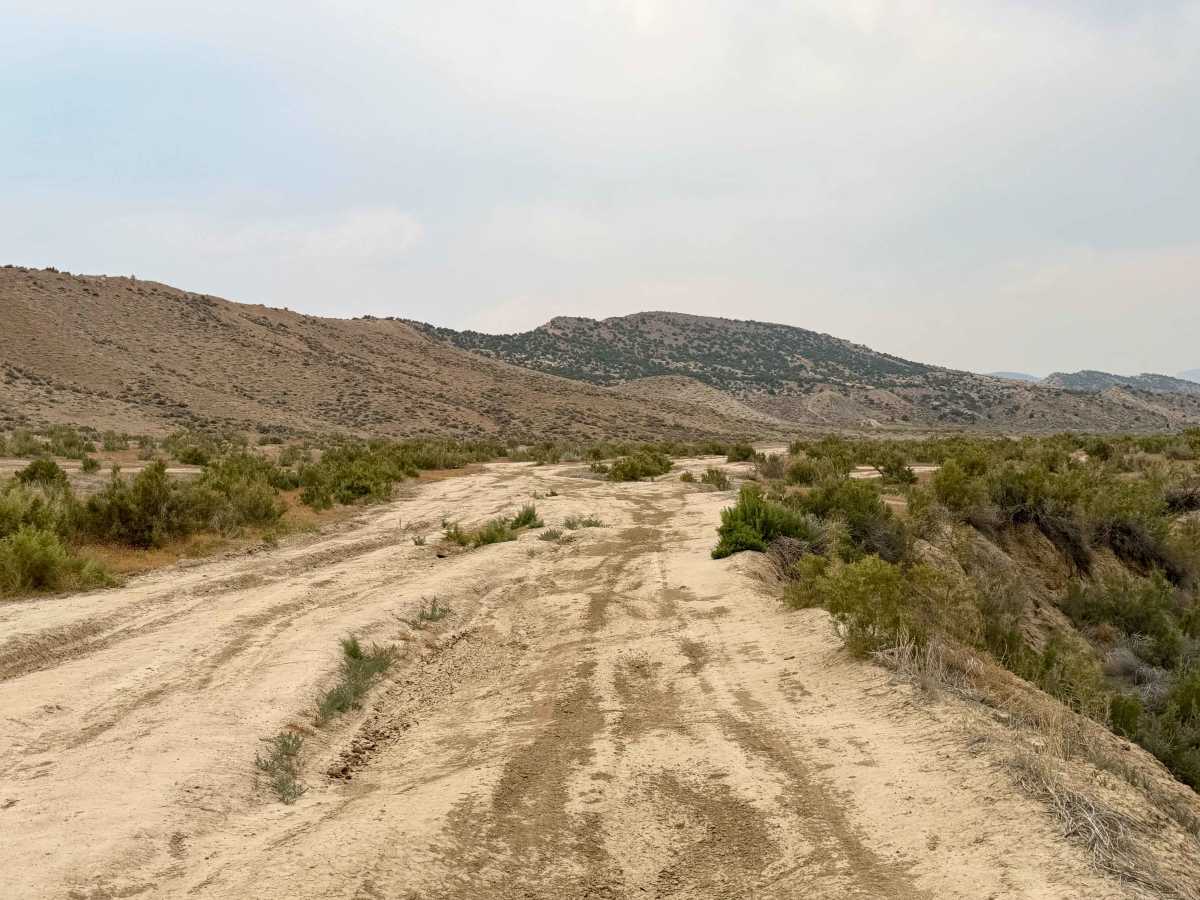 Widow Maker Road photo 6