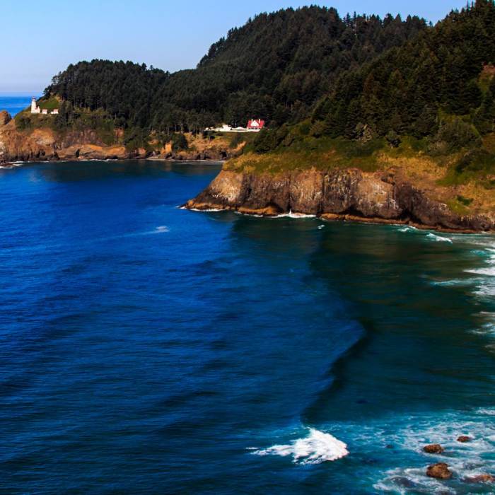 Near Oregon Coast Trail Section 6