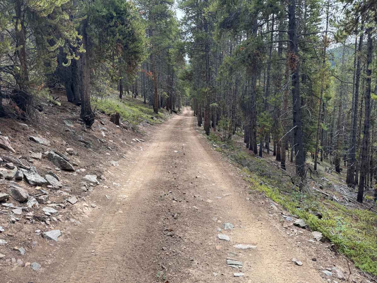 Cooper Loop photo 4