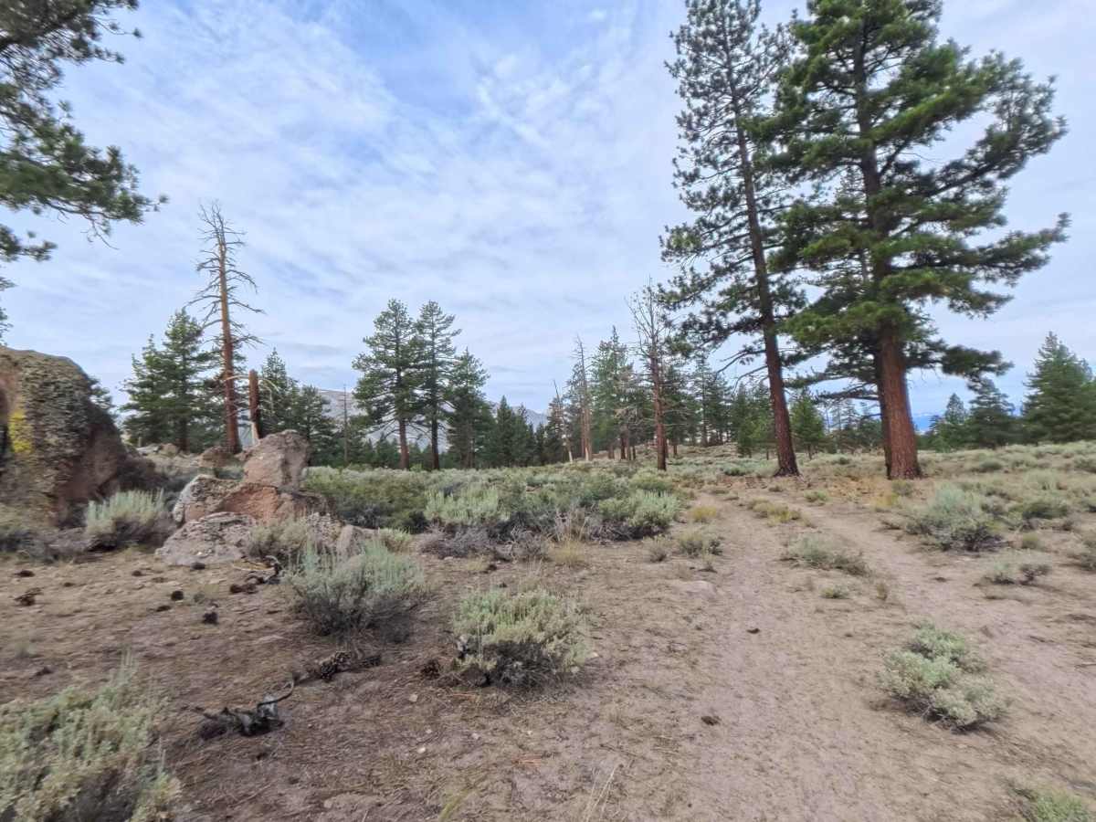 FS 04S40H trail photo