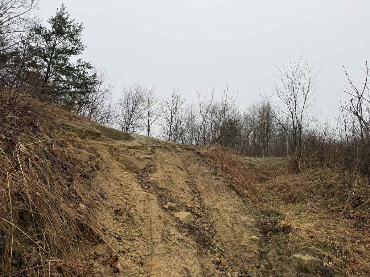 Q7 trail photo