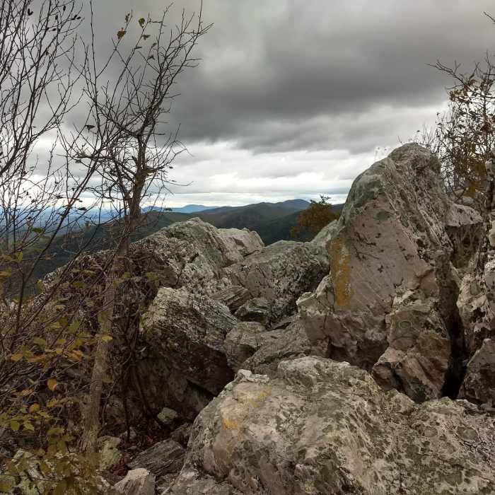 Near Turk Mountain Out and Back