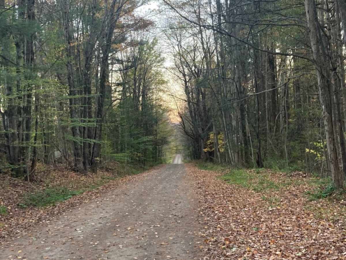 Borden Hollow Road photo 4