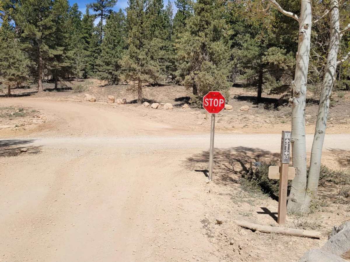 Duck Creek Way photo 5