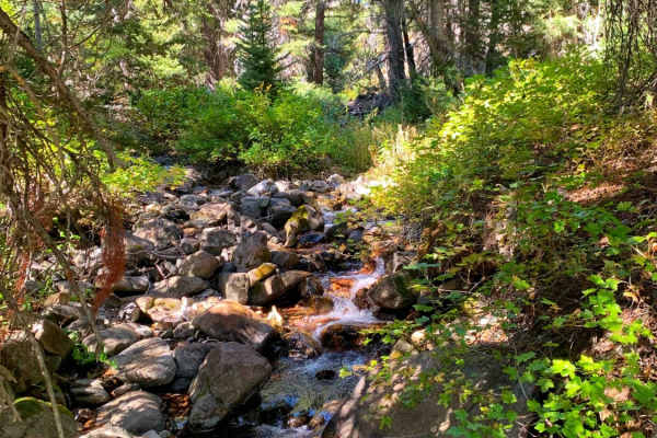 Boulder Creek Left Trail