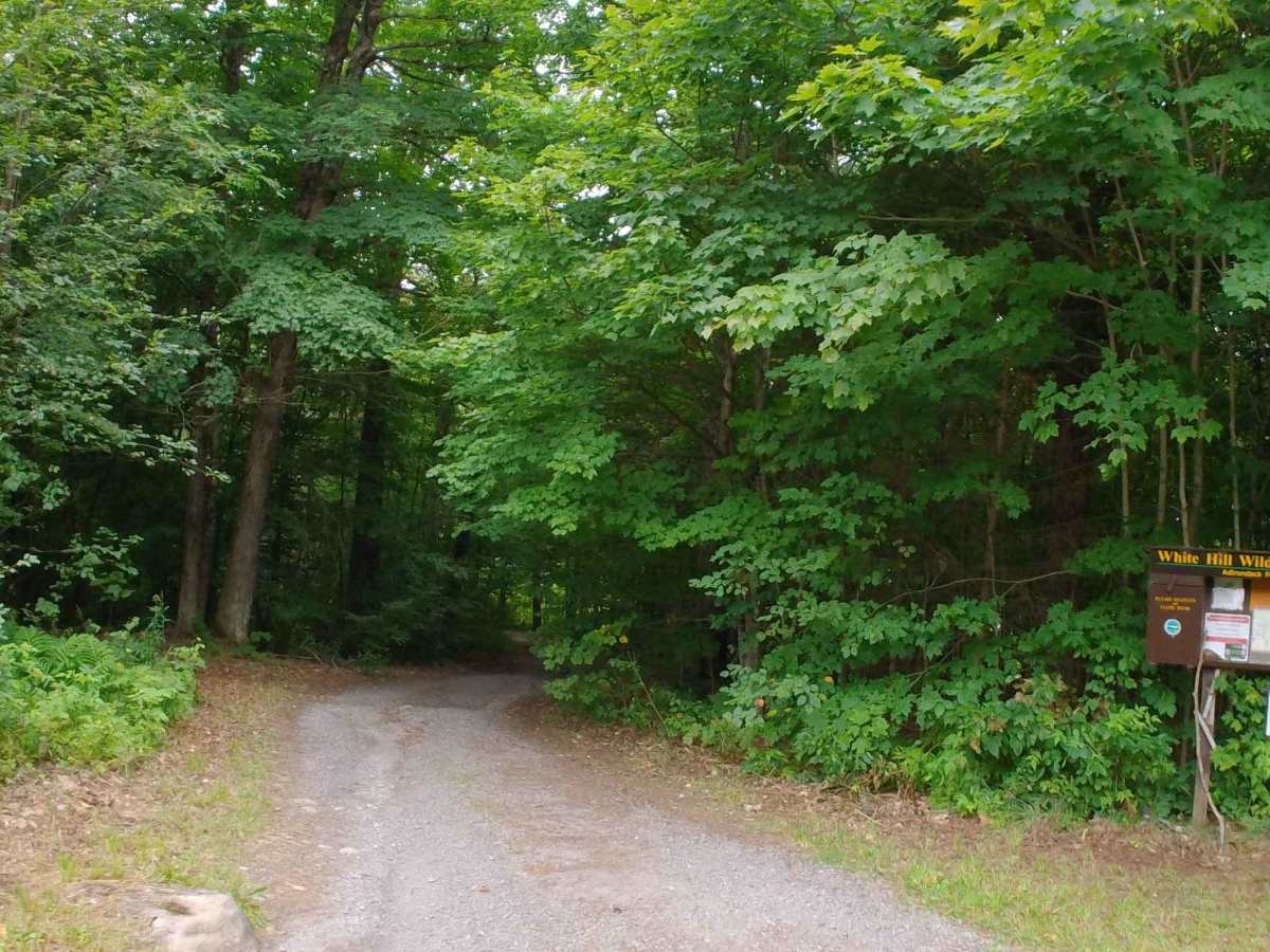 Clear Pond Road photo 6