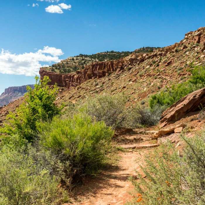 Near Ridge Trail Hike Near Ridge Trail Hike