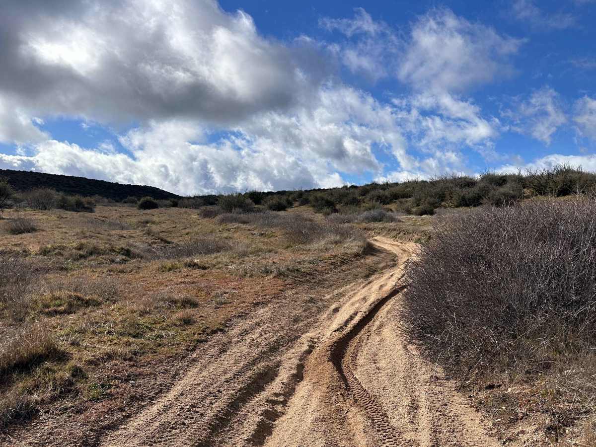 Sand Rip Loop photo 2