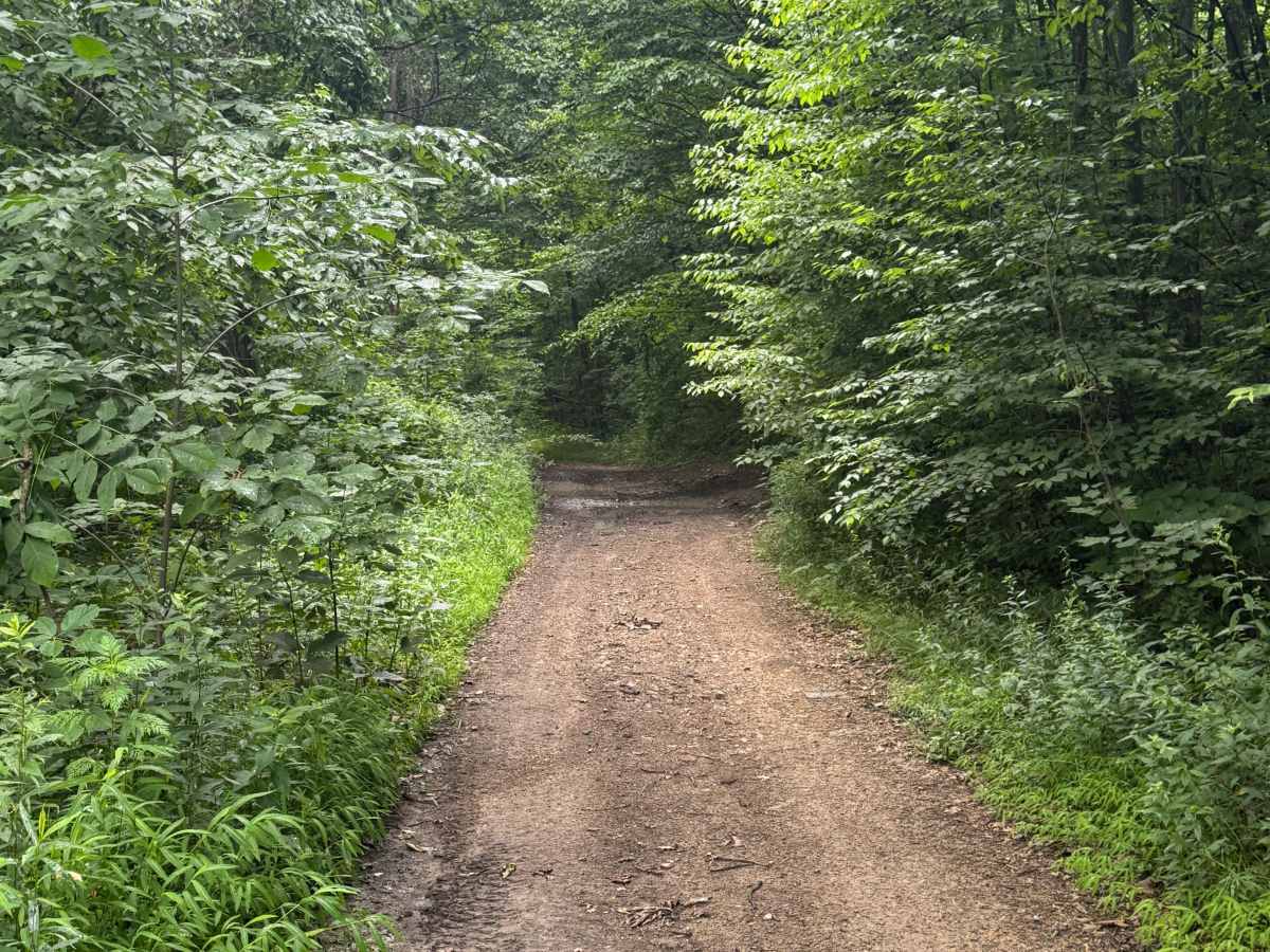 Trail 86 photo 5