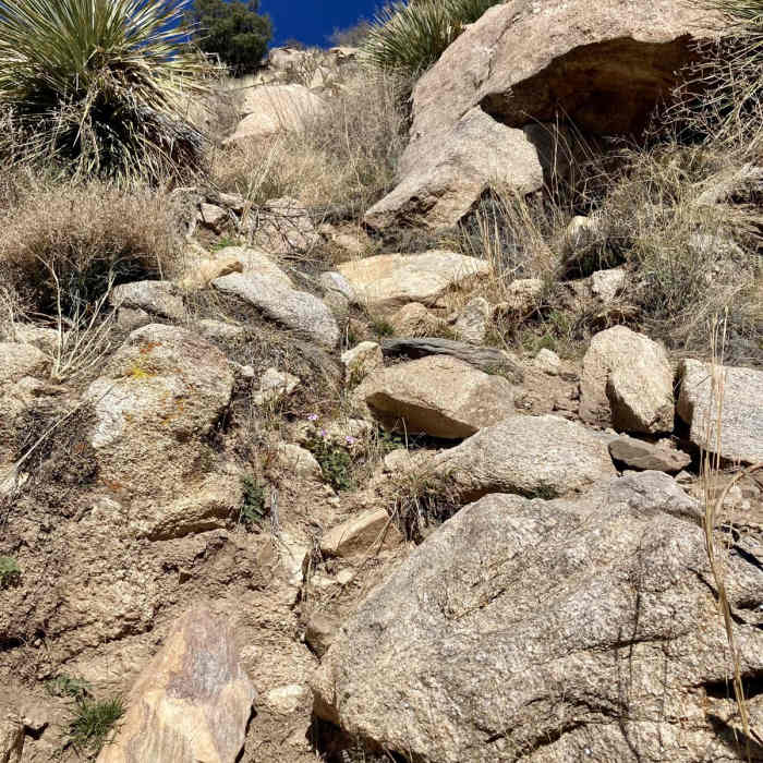 Near Pusch Peak via Linda Vista Trail Near Pusch Peak via Linda Vista Trail