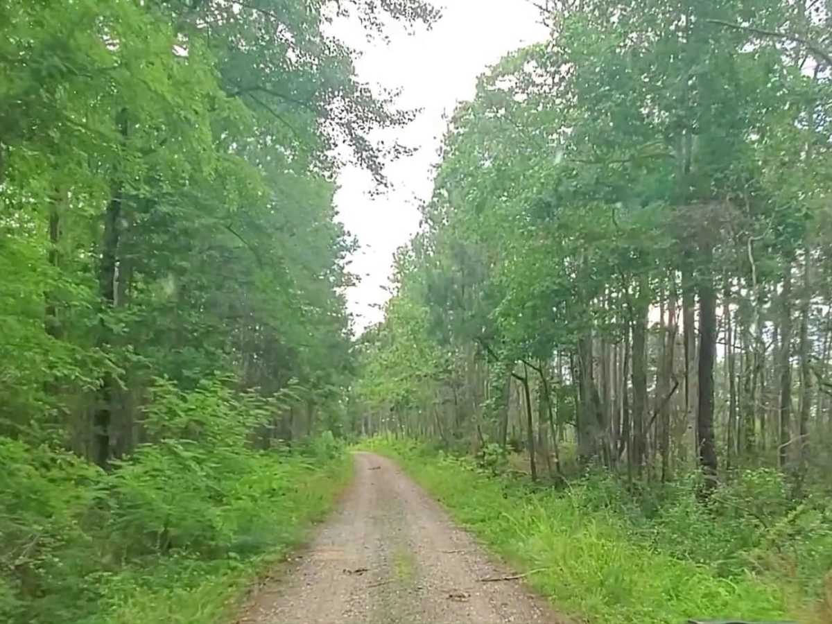 Hopewell Church - Lost wilderness traverse (661/669B) trail photo