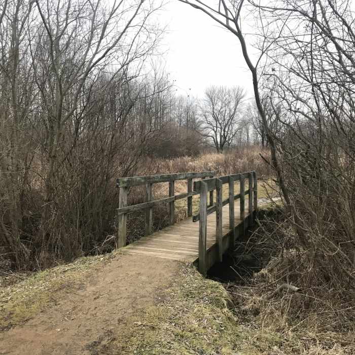 Near Pheasant Run Trail