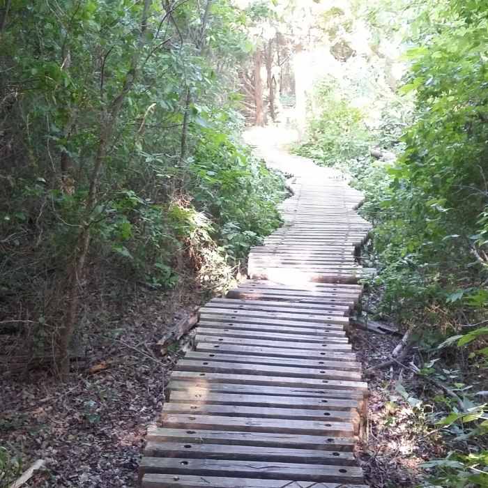 Raised boardwalks keep boots dry as you travel through wet areas of the park. Near Erwin Park