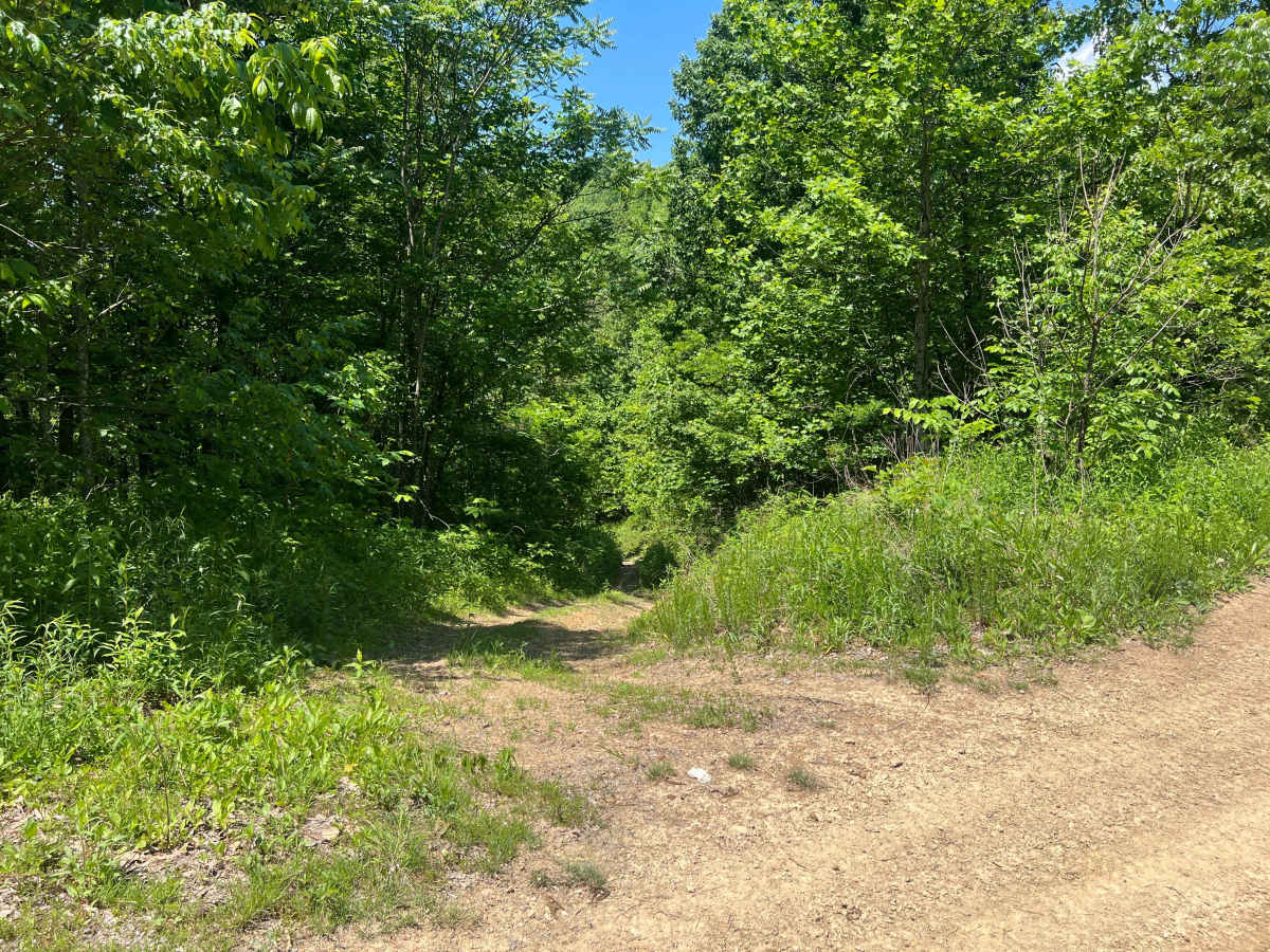 KC21 - Sugar Camp Road trail photo